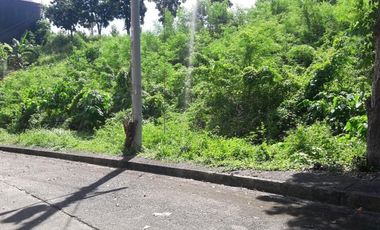 Affordable 159 Sqm Lot for Sale in Casili, Consolacion Cebu