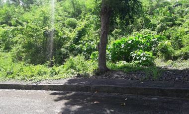 Affordable 159 Sqm Lot for Sale in Casili, Consolacion Cebu