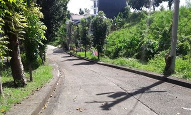 Affordable 159 Sqm Lot for Sale in Casili, Consolacion Cebu