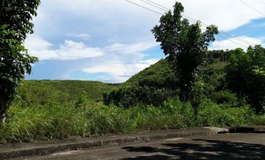 Affordable 159 Sqm Lot for Sale in Casili, Consolacion Cebu