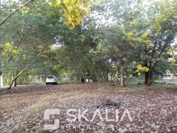 Venta parcela 5000 m2 con casa de 6 dormitorios en Yumbel