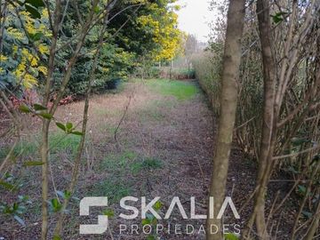 Venta parcela 5000 m2 con casa de 6 dormitorios en Yumbel