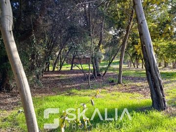 Venta parcela 5000 m2 con casa de 6 dormitorios en Yumbel