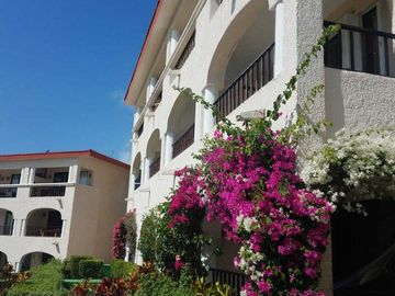 Departamento frente al mar en Playacar Fase I