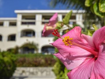 Departamento frente al mar en Playacar Fase I
