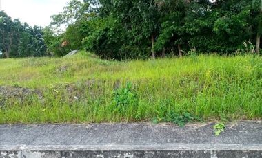 175 Sqm Residential Lot for Sale in Vista Grande Talisay Cebu City