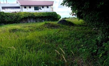 175 Sqm Residential Lot for Sale in Vista Grande Talisay Cebu City
