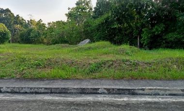 175 Sqm Residential Lot for Sale in Vista Grande Talisay Cebu City