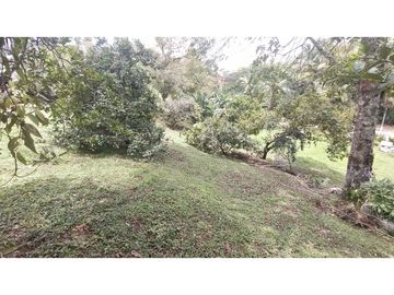 VENTA DE FINCA PEQUEÑA EN SALENTO, QUINDO, COLOMBIA