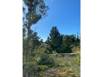 CASABLANCA / EL BATRO / PARCELA DE 6.600M2