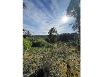 CASABLANCA / EL BATRO / PARCELA DE 6.600M2