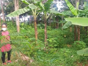 Tanah Dijual di Bandung Timur Bandung
