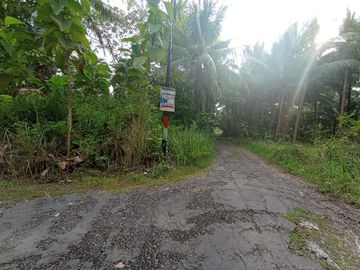 rumah dijual minimalis krembangan asri dekat kota wates