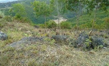 227 Sqm Subdivision Lot for Sale in Vista Grande Talisay Cebu City with Overlooking Sea and Mountain View