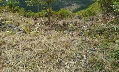 227 Sqm Subdivision Lot for Sale in Vista Grande Talisay Cebu City with Overlooking Sea and Mountain View