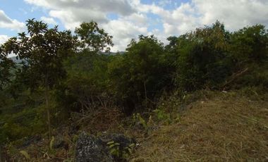 227 Sqm Subdivision Lot for Sale in Vista Grande Talisay Cebu City with Overlooking Sea and Mountain View