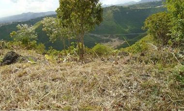 227 Sqm Subdivision Lot for Sale in Vista Grande Talisay Cebu City with Overlooking Sea and Mountain View