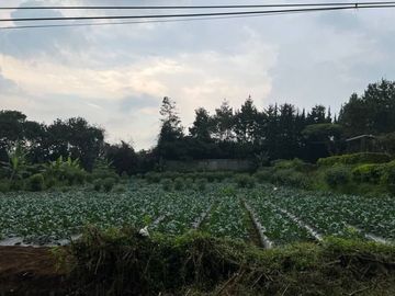 RUMAH VILLA 1 LANTAI LEMBANG POTENSI KEUNTUNGAN 65 JUTA