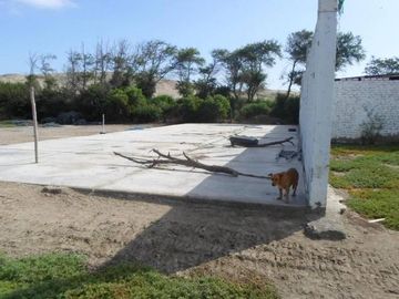 VENTA DE TERRENO RUSTICO EN TANGAY BAJO NUEVO CHIMBOTE - ANCASH