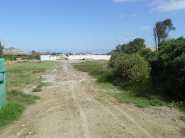 VENTA DE TERRENO RUSTICO EN TANGAY BAJO NUEVO CHIMBOTE - ANCASH