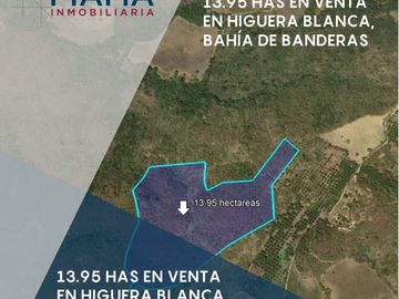 13.90 HAS EN VENTA EN HIGUERA BLANCA (RL)