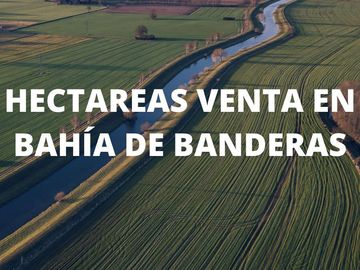 13.90 HAS EN VENTA EN HIGUERA BLANCA (RL)