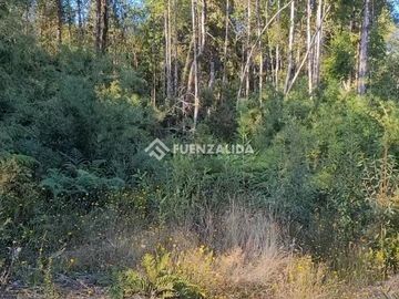 Parcela en venta en Colaco,Calbuco