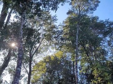 Parcela en venta en Colaco,Calbuco