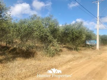 Sitio en Venta en camino pencahue sector Quepo hacia el norte