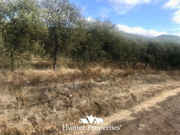 Sitio en Venta en camino pencahue sector Quepo hacia el norte