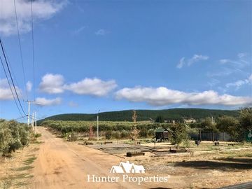 Sitio en Venta en camino pencahue sector Quepo hacia el norte