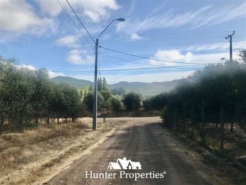 Sitio en Venta en camino pencahue sector Quepo hacia el norte