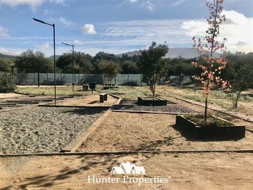 Sitio en Venta en camino pencahue sector Quepo hacia el norte