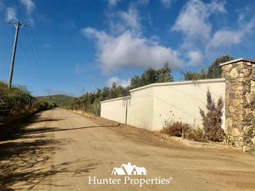 Sitio en Venta en camino pencahue sector Quepo hacia el norte