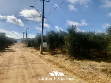 Sitio en Venta en camino pencahue sector Quepo hacia el norte