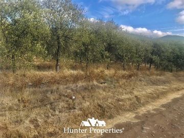 Sitio en Venta en camino pencahue sector Quepo hacia el norte