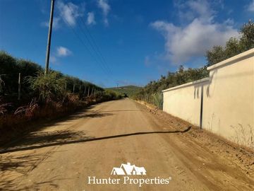 Sitio en Venta en camino pencahue sector Quepo hacia el norte