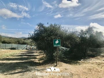 Sitio en Venta en camino pencahue sector Quepo hacia el norte