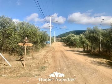 Sitio en Venta en camino pencahue sector Quepo hacia el norte