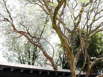 Espectacular residencia remodelada al 100% acabados de lujo.