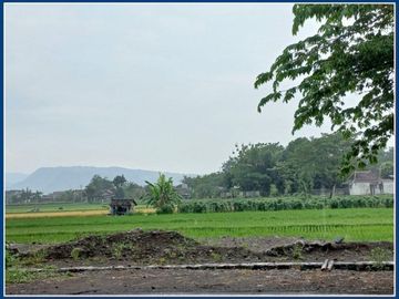 Tanah Kaplingan Ideal Bisa Untuk Bangun Usaha & Investasi