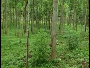 Dijual Tanah Perumahan 23 Ha Di Cikancung Kota Bandung