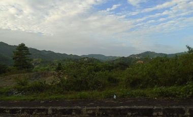 218 Sqm CORNER LOT for Sale in Greenwoods Subdivision near Talamban Cebu City with Mountain View