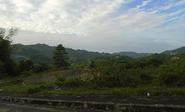 218 Sqm CORNER LOT for Sale in Greenwoods Subdivision near Talamban Cebu City with Mountain View