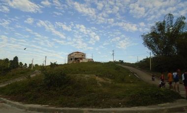 218 Sqm CORNER LOT for Sale in Greenwoods Subdivision near Talamban Cebu City with Mountain View