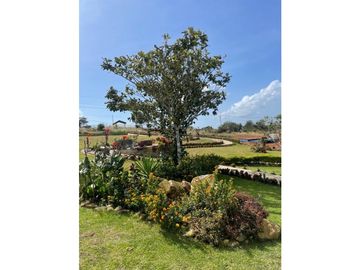 Chica Proyecto / Terreno y Casas