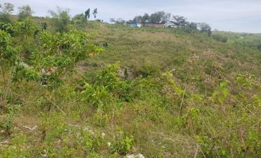 Most Affordable Ready for Building 100 Sqm Lot for Sale in Consolacion Cebu