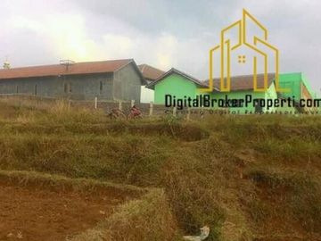 TANAH SUBUR COCOK UNTUK INVEST... INSYAA ALLOH BIKIN OWNER MAKMUR | KOMALANINGSIH