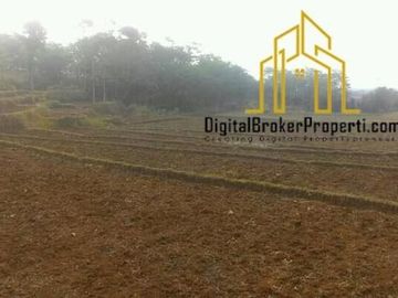 TANAH SUBUR COCOK UNTUK INVEST... INSYAA ALLOH BIKIN OWNER MAKMUR | KOMALANINGSIH