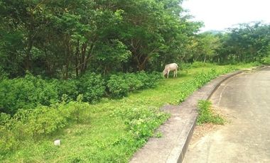 MOST AFFORDABLE 168 SQM Lot for Sale in Greenwoods Subdivision near Talamban Cebu City